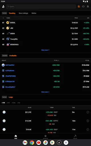 I-download ang Birdeye Crypto Data Tool – Subaybayan ang Memecoins - Screenshot 15