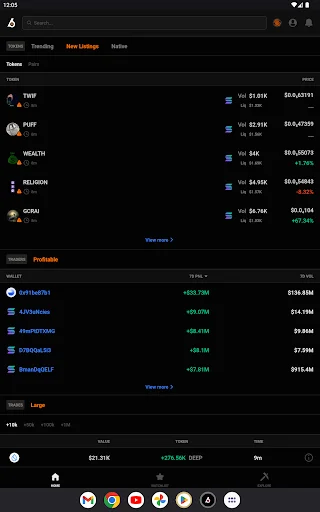 I-download ang Birdeye Crypto Data Tool – Subaybayan ang Memecoins - Screenshot 10
