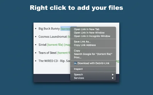 Debrid-Link Extension: Mabilis na Download at Seedbox Para sa Iyo - Screenshot 4